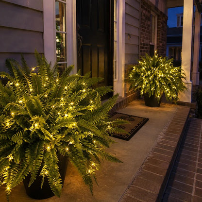 🌿Glowing Boston Ferns with Lights 💛 Zero Watering, Zero Maintenance