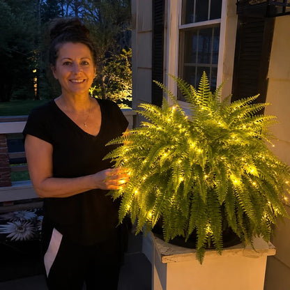 🌿Glowing Boston Ferns with Lights 💛 Zero Watering, Zero Maintenance