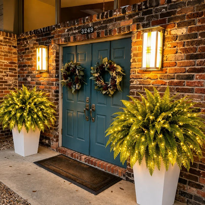 🌿Glowing Boston Ferns with Lights 💛 Zero Watering, Zero Maintenance