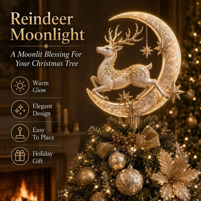 🔥Last Day 50% OFF – 🎄 Lighted Memorial Christmas Tree Topper Collection